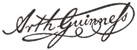 guinness signature