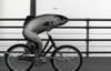 Fish on Bicycle, c1996